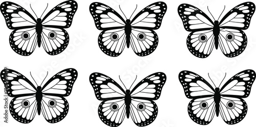 Six black and white butterfly with detailed wing patterns and symmetrical