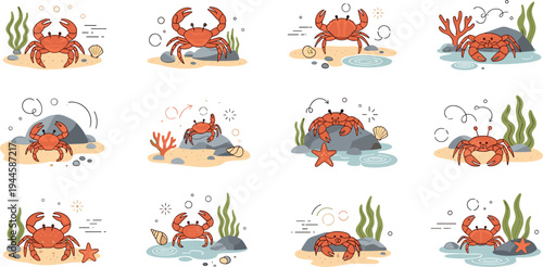 Vector Illustration Set of Crabs in Various Poses on the Beach with Seaweed Coral and Shells Isolated on White