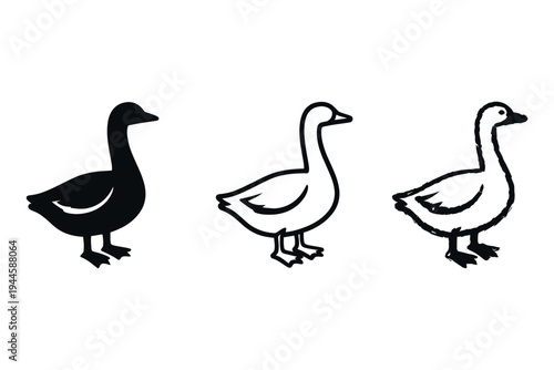 Collection of four Canada goose illustrations in various graphic styles, featuring minimalist continuous line art,