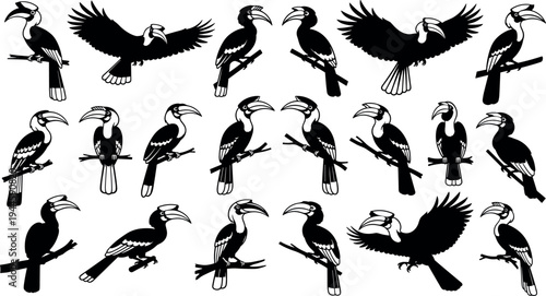Black and white hornbill bird silhouettes collection in various flying and perched poses isolated on white background for wildlife design