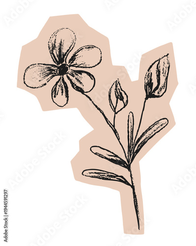 Cut out paper with hand drawn flowers. Vintage sketch