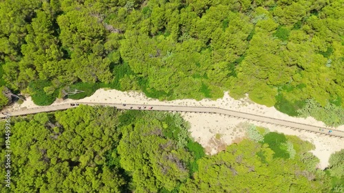 Drone aerial view above green Mediterranean coastal shrubs and walking path Mallorca Spain