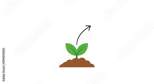 Green plant sprout growing upwards fast.