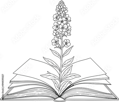 Beautiful flower blooming from an open book with delicate petals