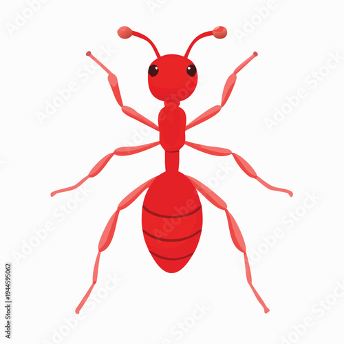 Red Ant Insect Close-up Detail Isolated on White Background Top View