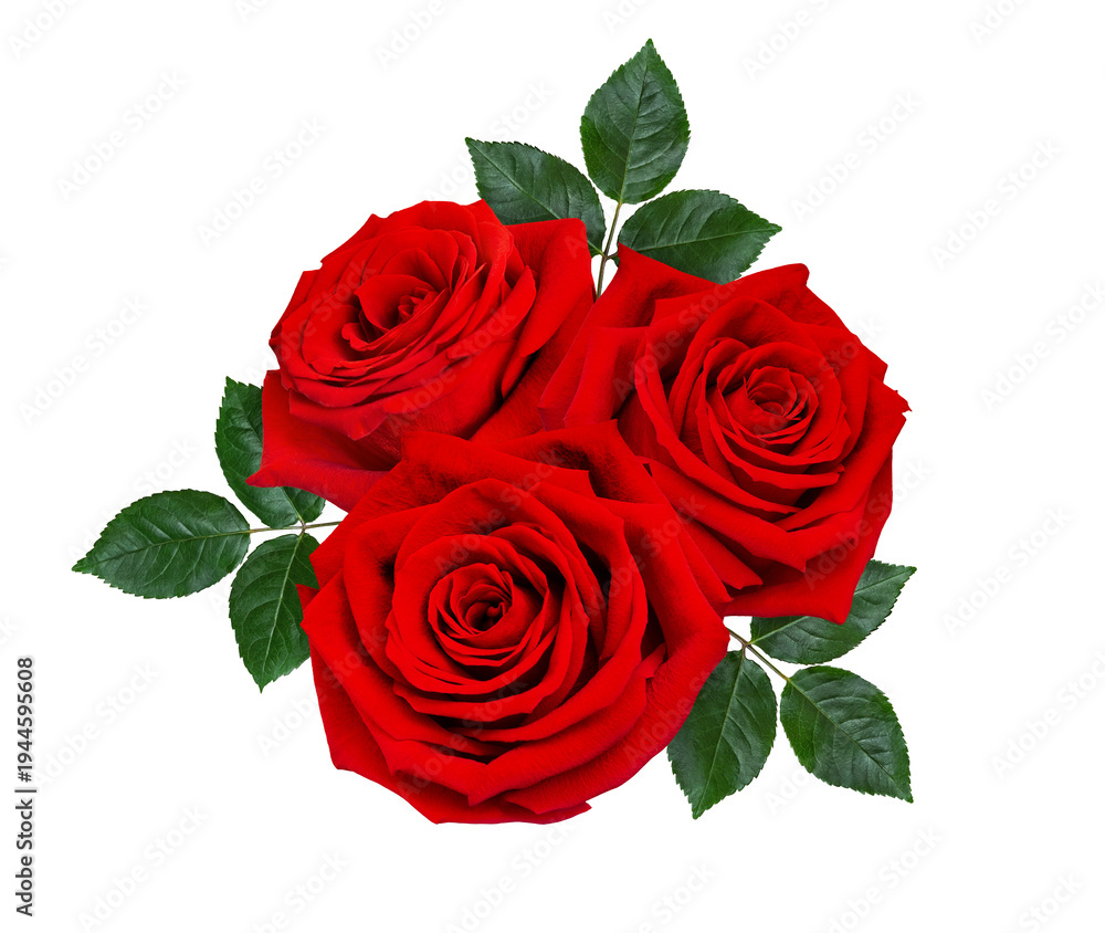 Fototapeta premium Beautiful bouquet of red roses isolated on white background. Romantic floral composition symbolizing love, passion and celebration, perfect for Valentine’s Day and wedding design.