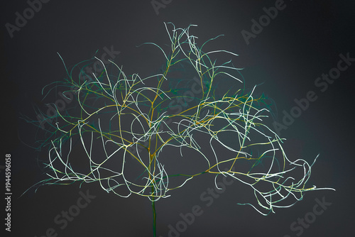 A single tumbleweed against dark background turns in art sculpture. Light & shadows produce patterns on this tumbleweed. Branches are thin & narrow. Designs are intricate,. Connections are complicated