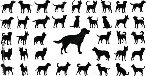 Domestic dog breed silhouettes, various canine poses, pet animal profiles, puppy shapes, black pedigree dogs, veterinary clinic icons, vector illustration isolated