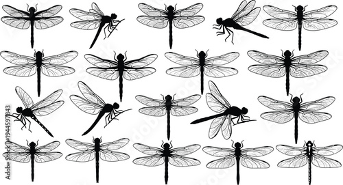 Dragonfly silhouettes, black insect icons, flying bugs, nature wings, dragonfly collection, damselfly illustrations, dragonfly vector sketches, dragonfly design elements.