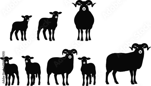 Black sheep and ram silhouette vector set, featuring farm animals, woolly ewes, cute lambs, and horned rams isolated on white.