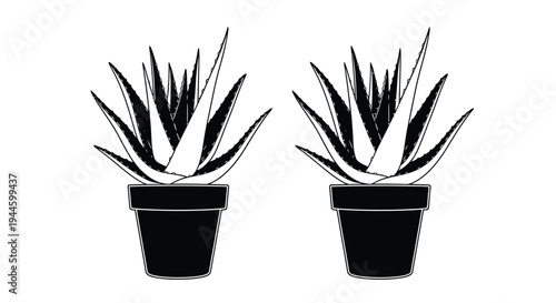 Two potted aloe vera plants depicted in a simple black and white illustration