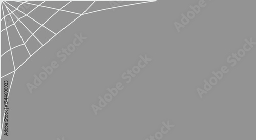 White spider web graphic element on a gray background design element