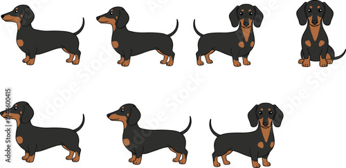 Cartoon dachshund dog illustration set, black and brown breed variations, playful pet character design, cute animal clipart collection