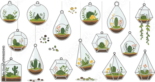 Hanging glass terrarium vector collection featuring indoor succulent plants and cactus in geometric glass globes for home decor gardening and modern interior illustration designs.