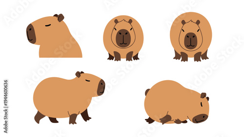 Collection of five different poses and views of a capybara including front and side plus sitting and walking.
