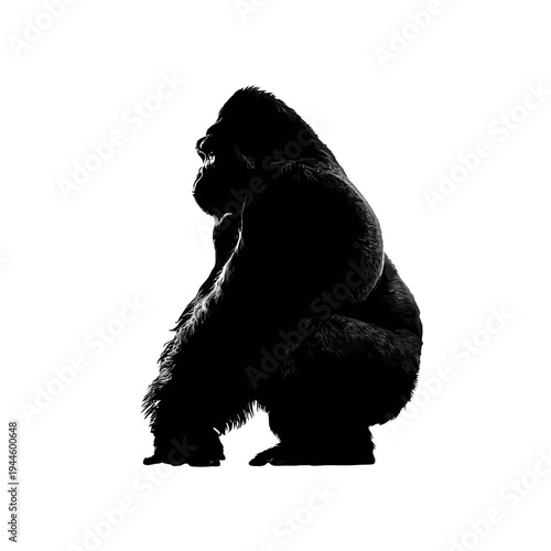 Silhouette of a powerful gorilla in black and white against a white background.