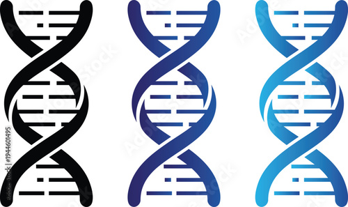 Three stylized DNA double helix in black dark blue and light blue DNA helix genetic code