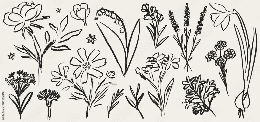 Obraz premium Grunge charcoal chalk spring summer flower collection. Vector illustration of ink hand drawn wild and garden herbs. Wax crayon drawings. Floral silhouette elements perfect for poster, cards, placard.