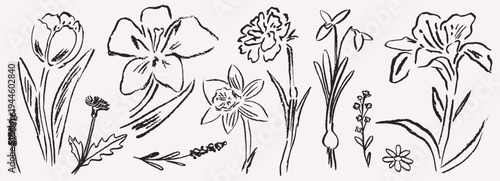 Grunge summer charcoal or chalk spring flower set. Vector illustration of ink hand drawn wild and garden herbs. Wax crayon drawings. Floral silhouette design elements perfect for Easter cards, placard
