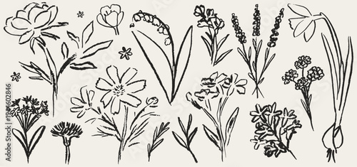 Grunge charcoal chalk spring summer flower collection. Vector illustration of ink hand drawn wild and garden herbs. Wax crayon drawings. Floral silhouette elements perfect for poster, cards, placard.