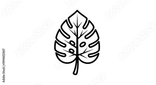 Monstera leaf illustration in black.