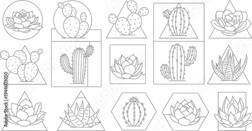 Collection of various cacti and succulent plant illustrations in unique frames