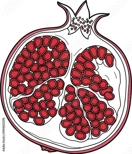 Ripe pomegranate cut open to reveal red seeds inside its juicy arils