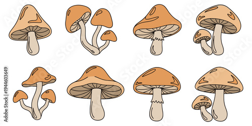 Hand drawn colorful mushroom cartoon illustration set for creative design