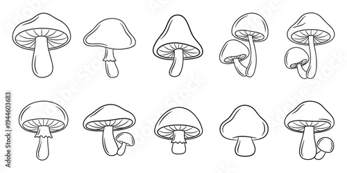 Minimalist mushroom outline icon set for coloring book and design