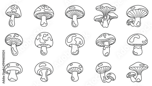 Mushroom line art icons set diverse fungi outlines vector collectionMushroom line art icons set diverse fungi outlines vector collection
