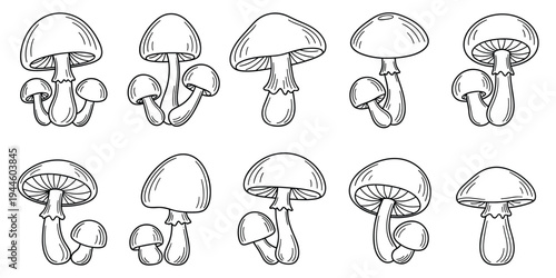 Mushroom line art set with hand drawn fungus and botanical outline elementsMushroom line art set with hand drawn fungus and botanical outline elements