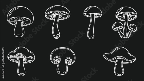 Mushroom white line art icons on dark background with fungus shapesMushroom white line art icons on dark background with fungus shapes