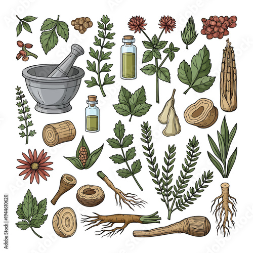 Herbalist prepares natural remedies with various plants and tools indoors.