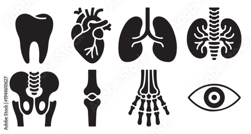 Set of human internal organs and skeleton bones black glyph icons illustration