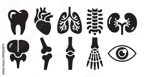 Set of human internal organs and skeleton bones black glyph icons illustration