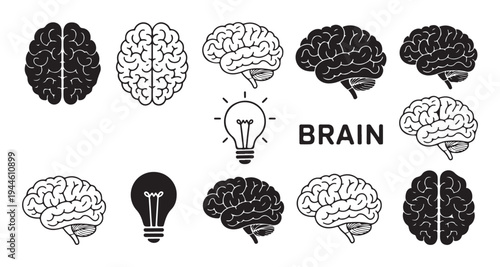 Brain icons and symbols representing intelligence ideas and knowledge with light bulb and text brain