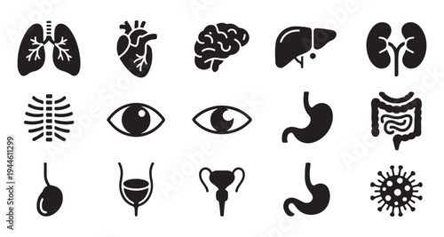 Set of human internal organs and biological elements icons including lungs heart brain and virus