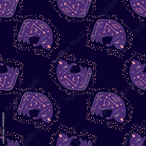 Mystical seamless pattern of cats in boho style, silhouette collection. Esotericism and mysticism, occultism. Cartoon flat vector illustrations, isolated