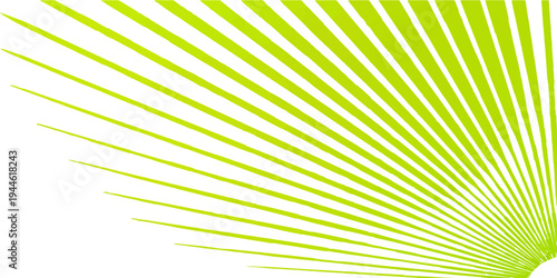 Bright summer sun burst vector illustration featuring a radial pattern of yellow and orange rays with a colorful abstract line art texture design for a vibrant wallpaper backdrop