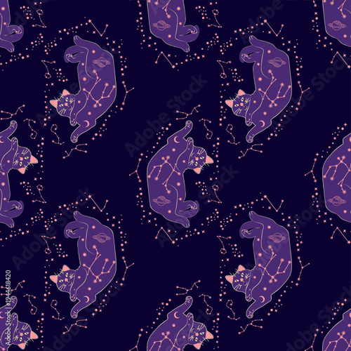 Mystical seamless pattern of cats in boho style, silhouette collection. Esotericism and mysticism, occultism. Cartoon flat vector illustrations, isolated