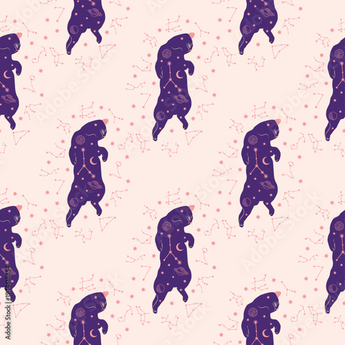 Mystical seamless pattern of cats in boho style, silhouette collection. Esotericism and mysticism, occultism. Cartoon flat vector illustrations, isolated
