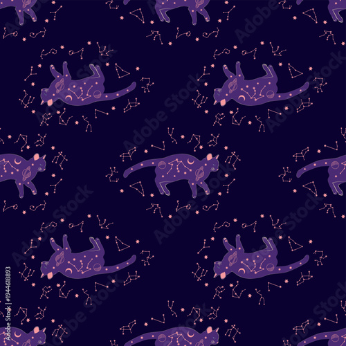 Mystical seamless pattern of cats in boho style, silhouette collection. Esotericism and mysticism, occultism. Cartoon flat vector illustrations, isolated