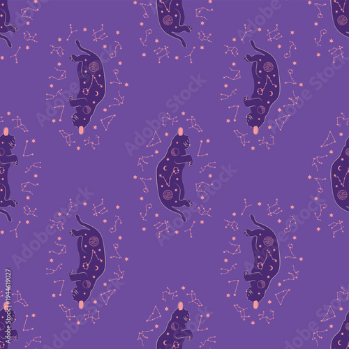 Mystical seamless pattern of cats in boho style, silhouette collection. Esotericism and mysticism, occultism. Cartoon flat vector illustrations, isolated