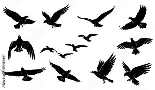 Stylized Flying Bird Silhouette Wildlife Vector Illustration Set