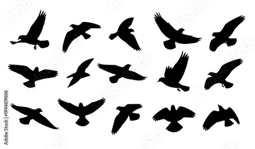 Minimal Flying Bird Silhouette Vector Icon Set for Wildlife