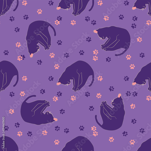 Mystical seamless pattern of cats in boho style, silhouette collection. Esotericism and mysticism, occultism. Cartoon flat vector illustrations, isolated