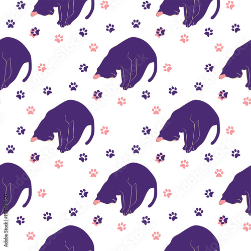 Mystical seamless pattern of cats in boho style, silhouette collection. Esotericism and mysticism, occultism. Cartoon flat vector illustrations, isolated