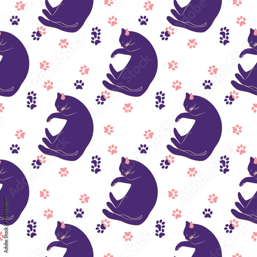 Mystical seamless pattern of cats in boho style, silhouette collection. Esotericism and mysticism, occultism. Cartoon flat vector illustrations, isolated