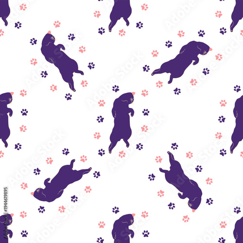 Mystical seamless pattern of cats in boho style, silhouette collection. Esotericism and mysticism, occultism. Cartoon flat vector illustrations, isolated