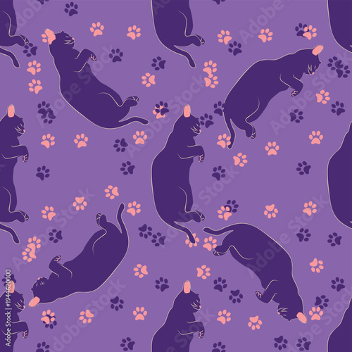 Mystical seamless pattern of cats in boho style, silhouette collection. Esotericism and mysticism, occultism. Cartoon flat vector illustrations, isolated